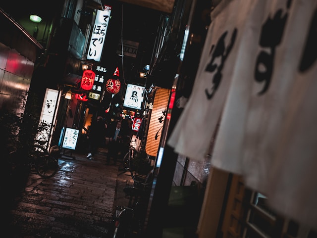 Hozenji Yokocho alley in Osaka at night