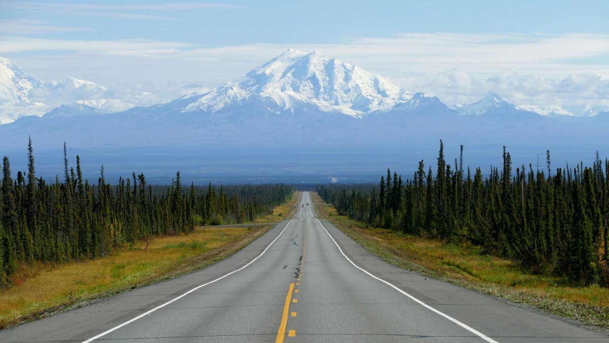 A straight empty highway running through spruce forest toward a snow-capped Alaskan peak