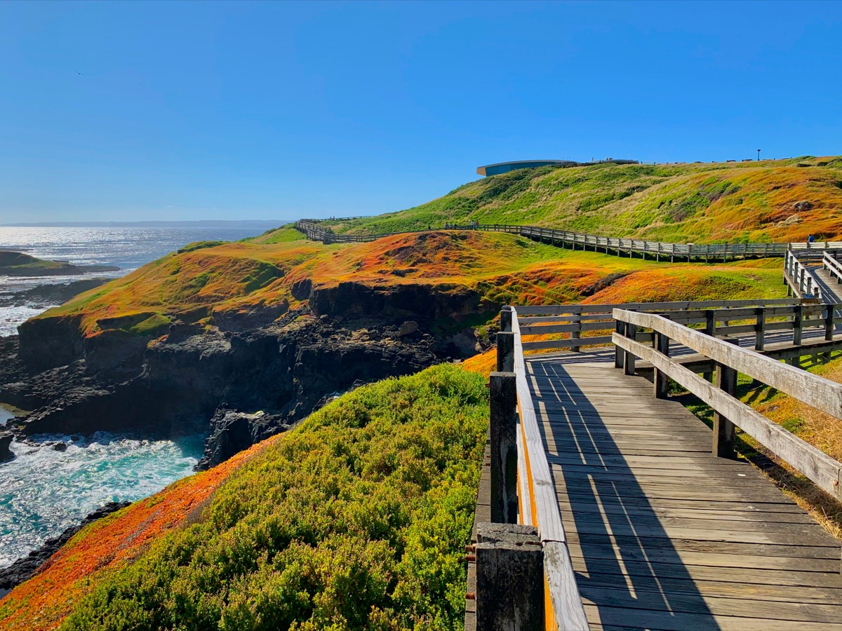 Boardwalk and coastal cliffs at The Nobbies on Phillip Island