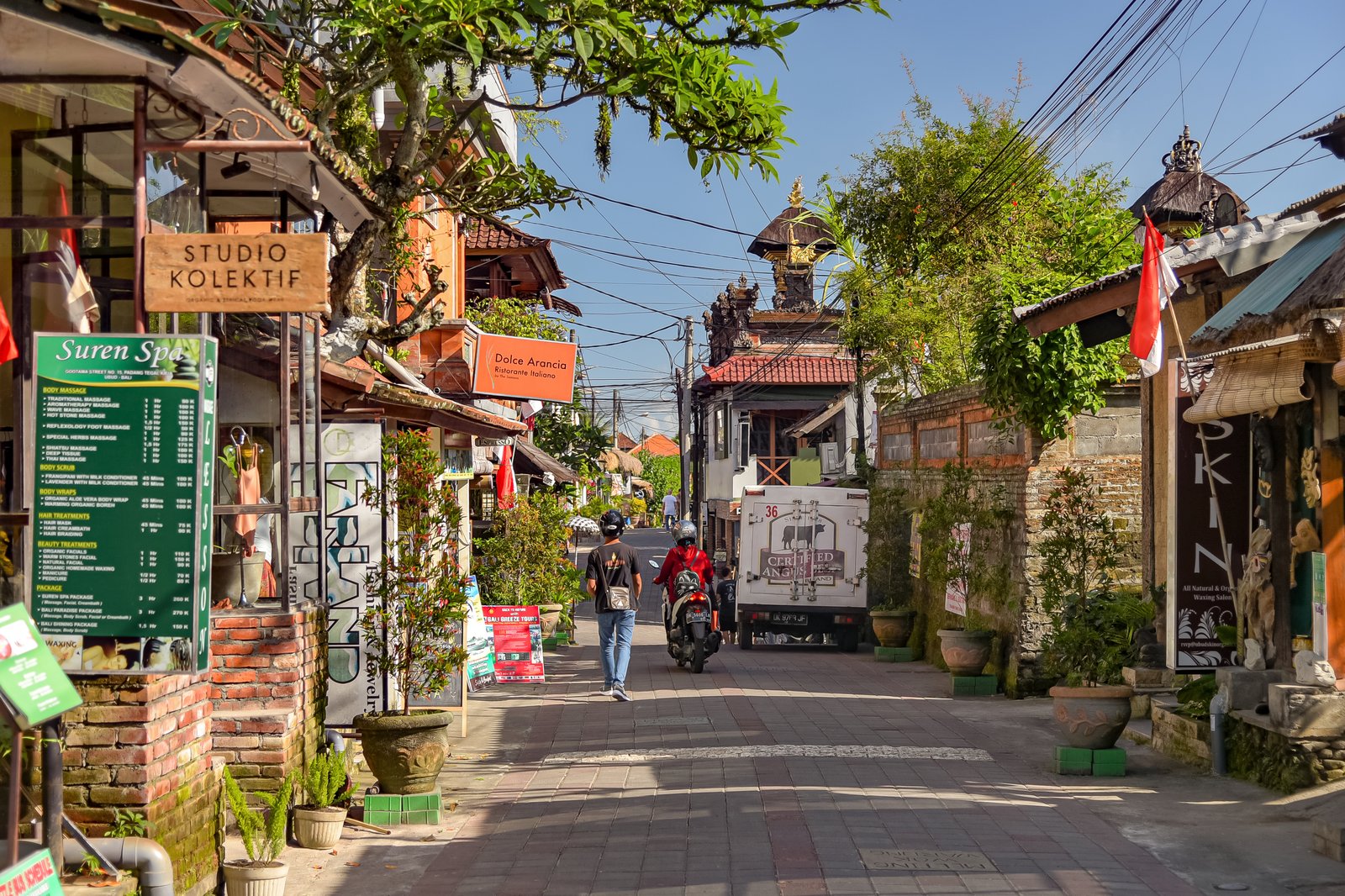 Lush green landscape and tropical scenery around Ubud, Bali