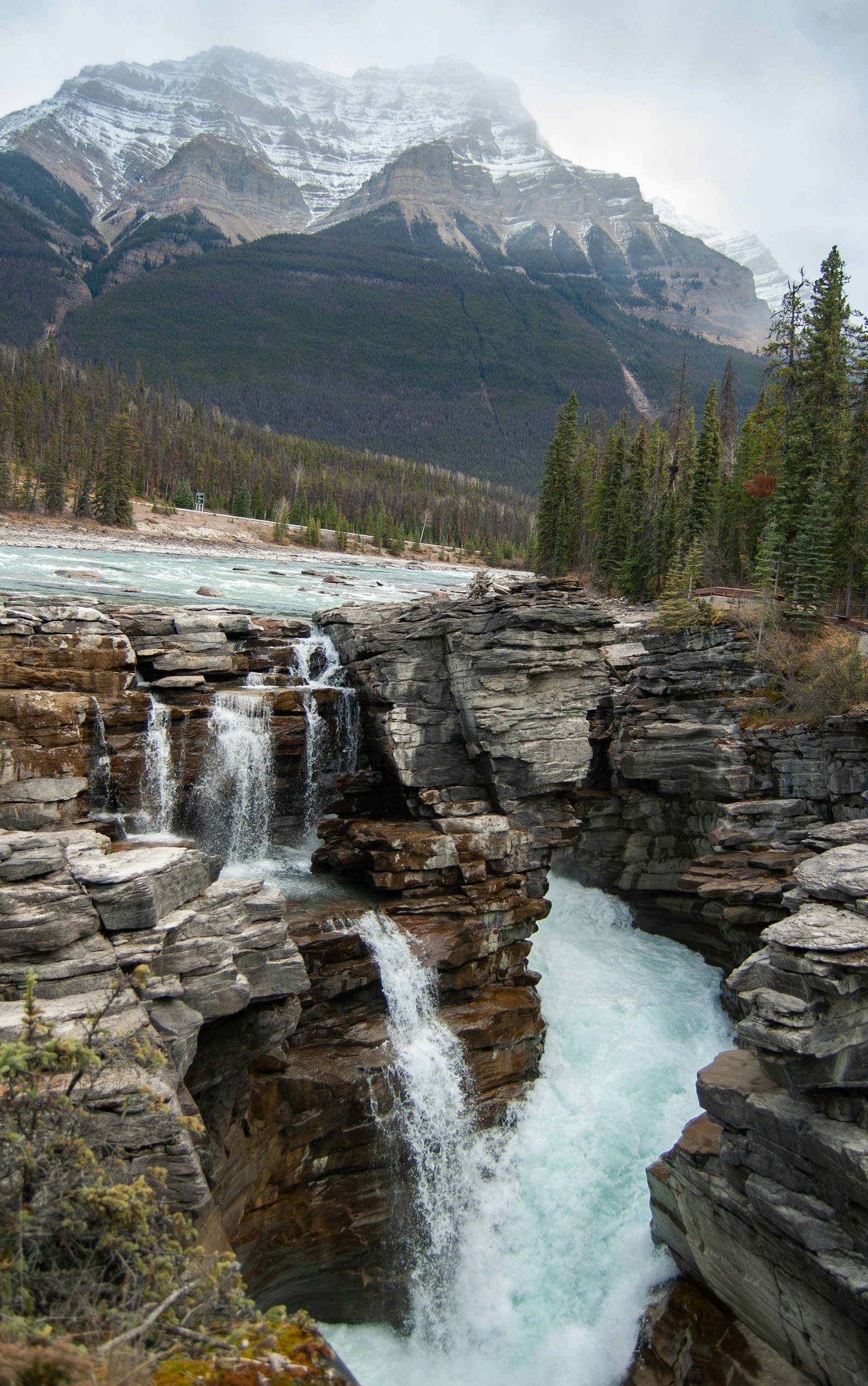Athabasca Falls cascading through a narrow gorge surrounded by mountains