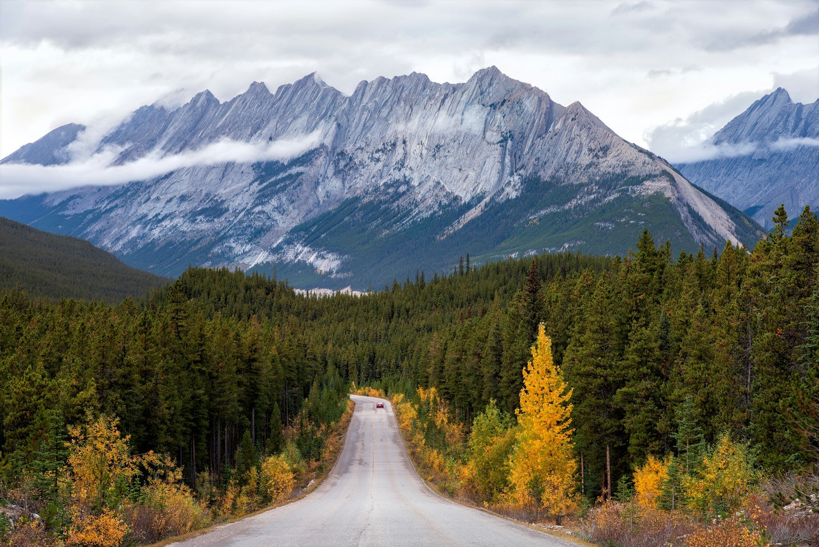 Green pine trees near mountain peaks in Jasper National Park