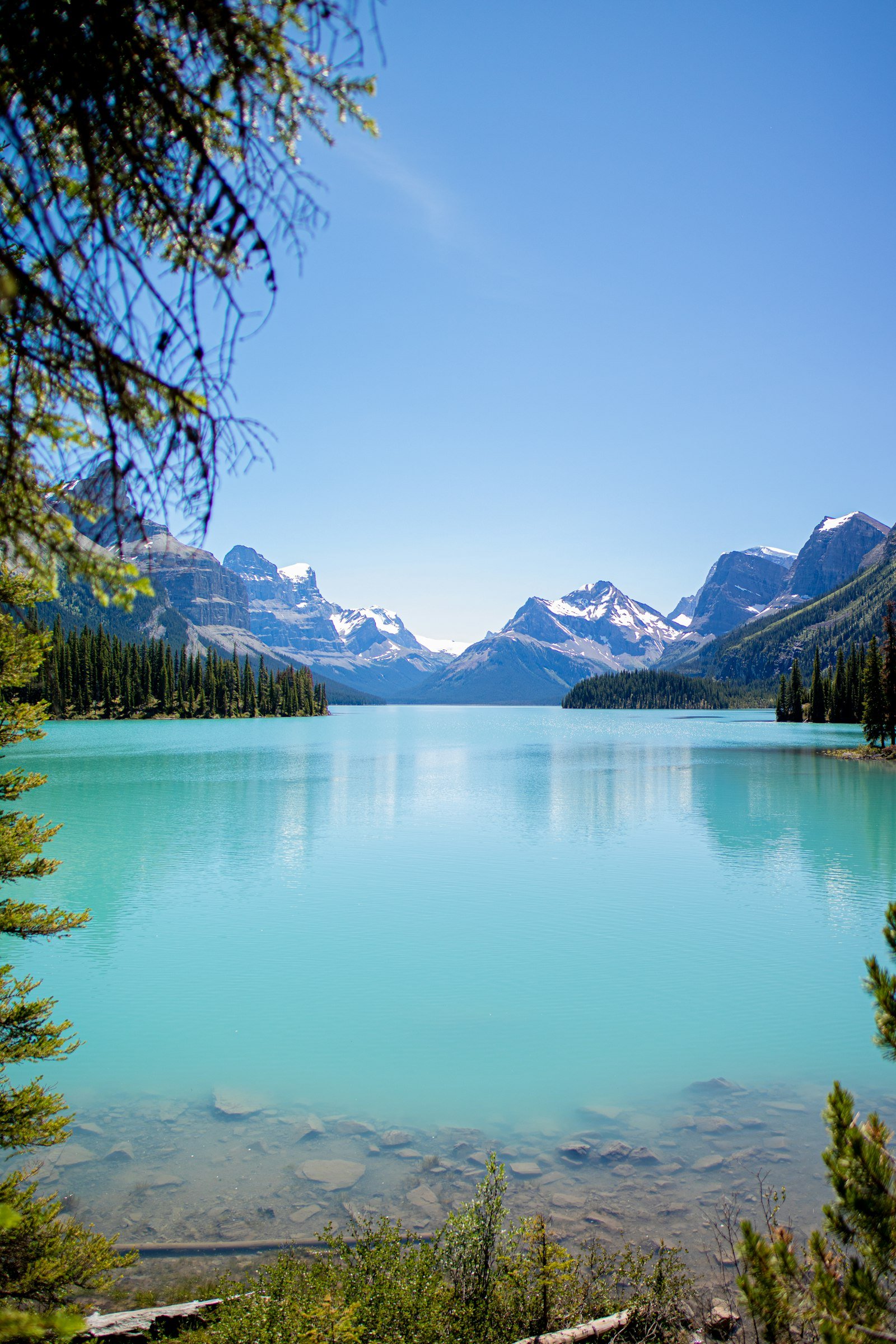 Maligne Lake surrounded by green forests and snow-capped mountains under a blue sky