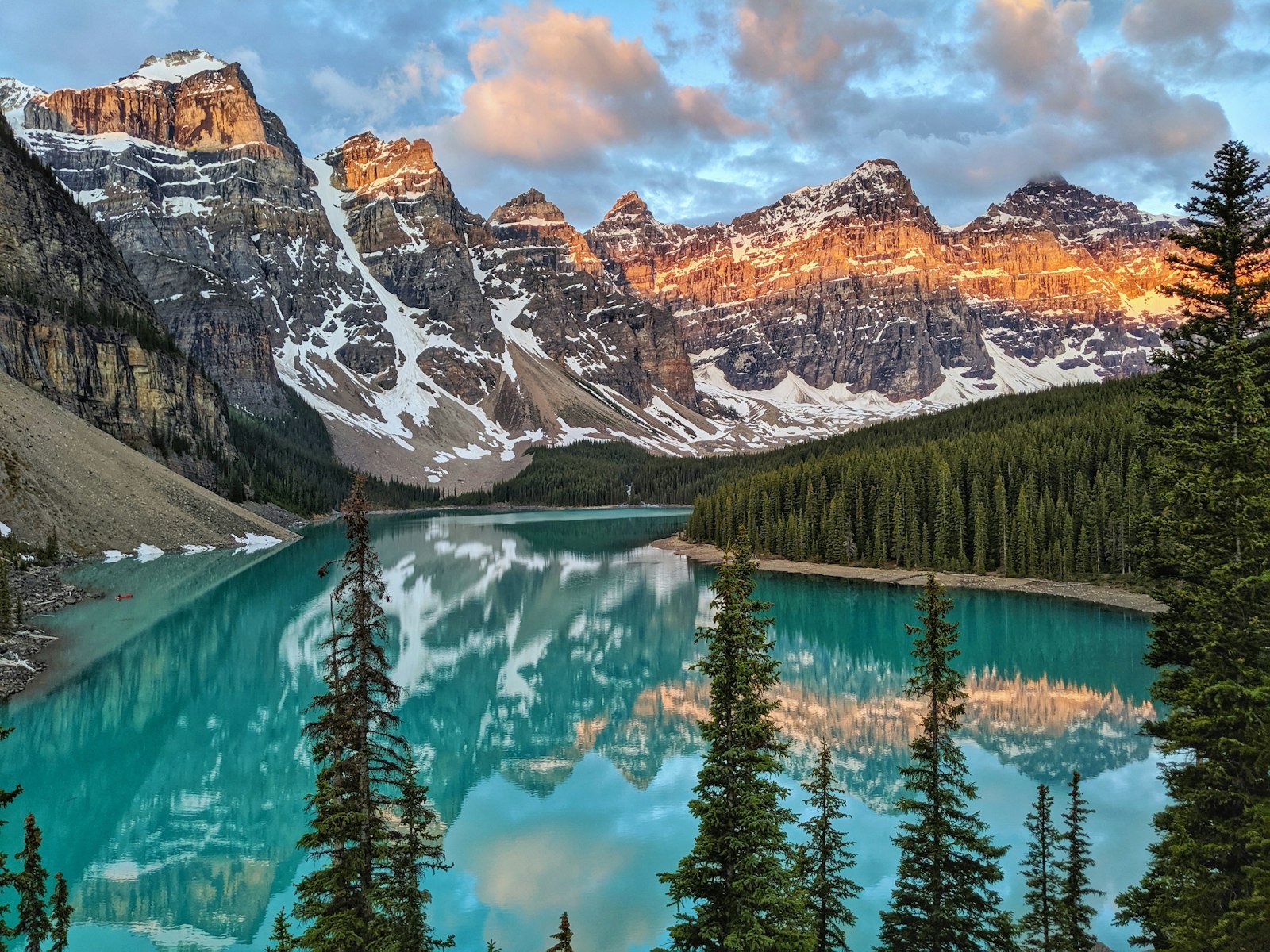 Peyto Lake viewed from above with its distinctive wolf-head shape and turquoise colour