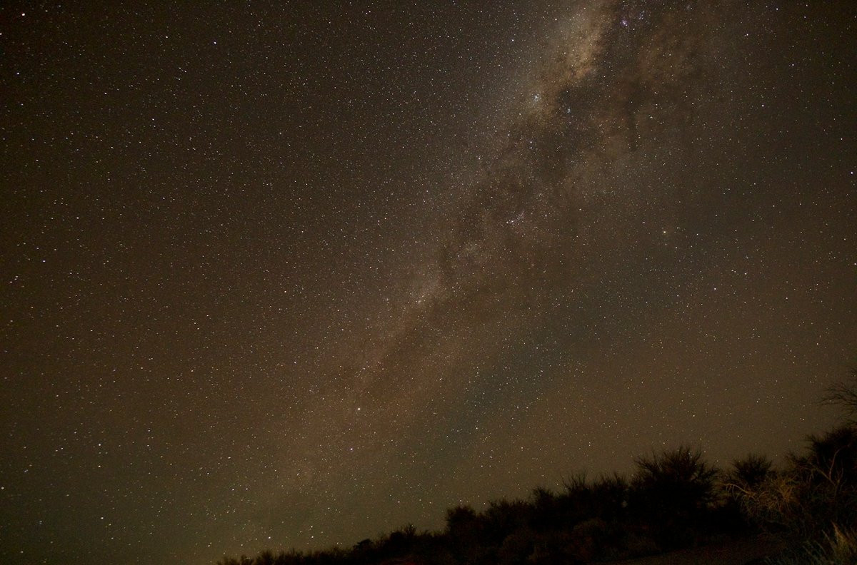 A group of people standing in a desert field under a dense star-filled night sky in the Atacama
