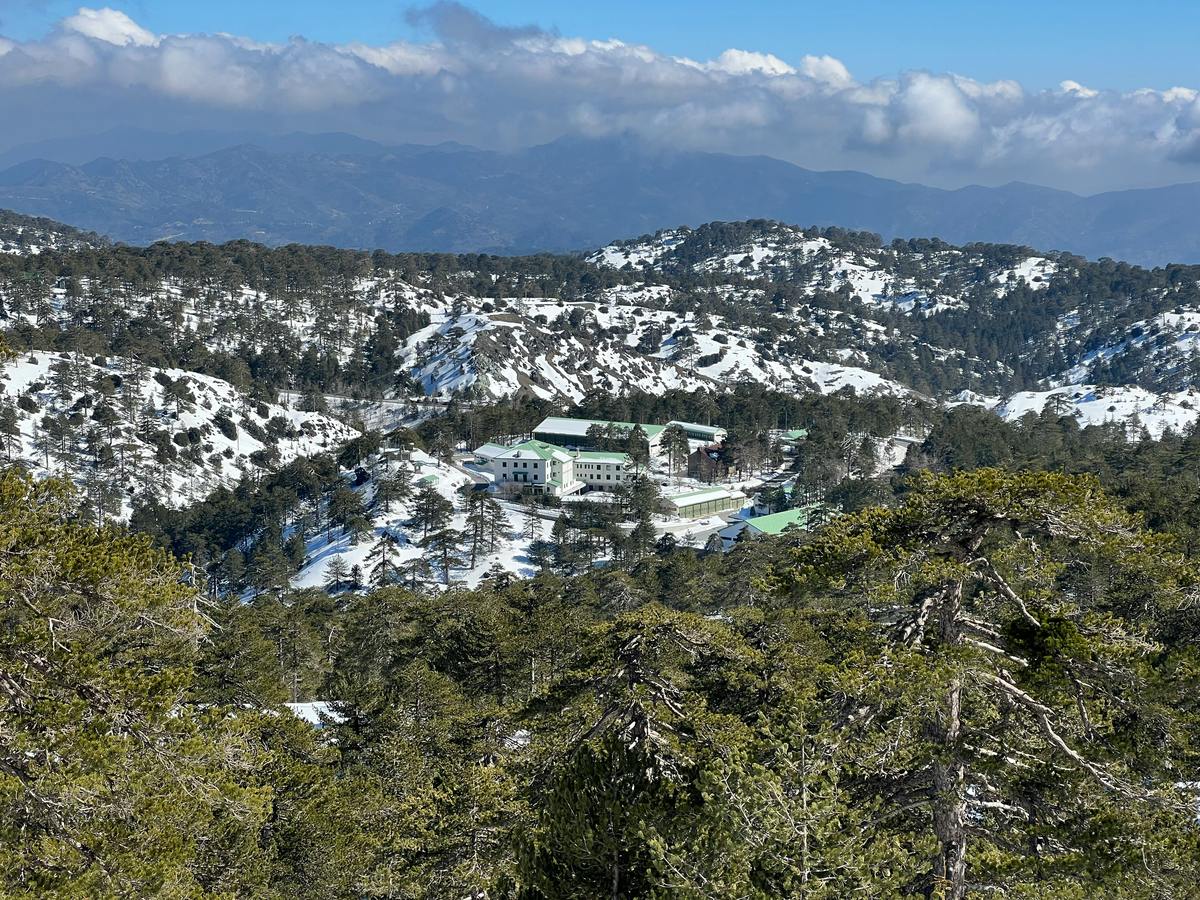Snow-dusted pine forests and a mountain settlement in the Troodos Mountains under a cloudy sky
