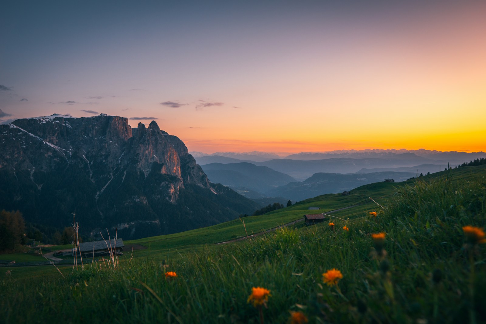 Sunset over the Alpe di Siusi in the Dolomites, with alpine meadows, scattered mountain huts and wildflowers