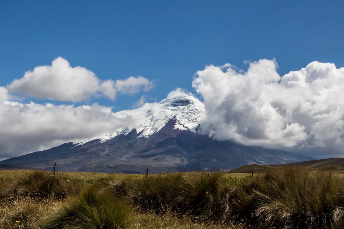 Cotopaxi volcano and highland grassland in Cotopaxi National Park, Ecuador