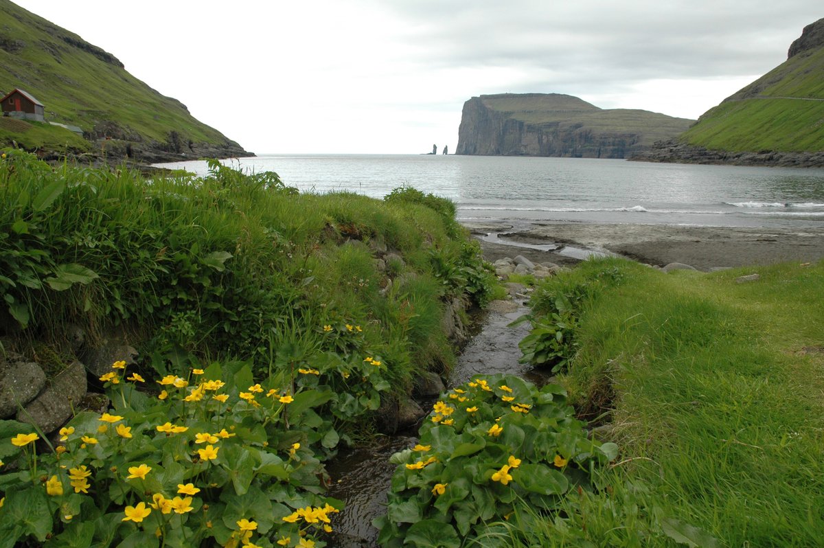 Tjørnuvík village and black-sand beach framed by steep mountains on northern Streymoy