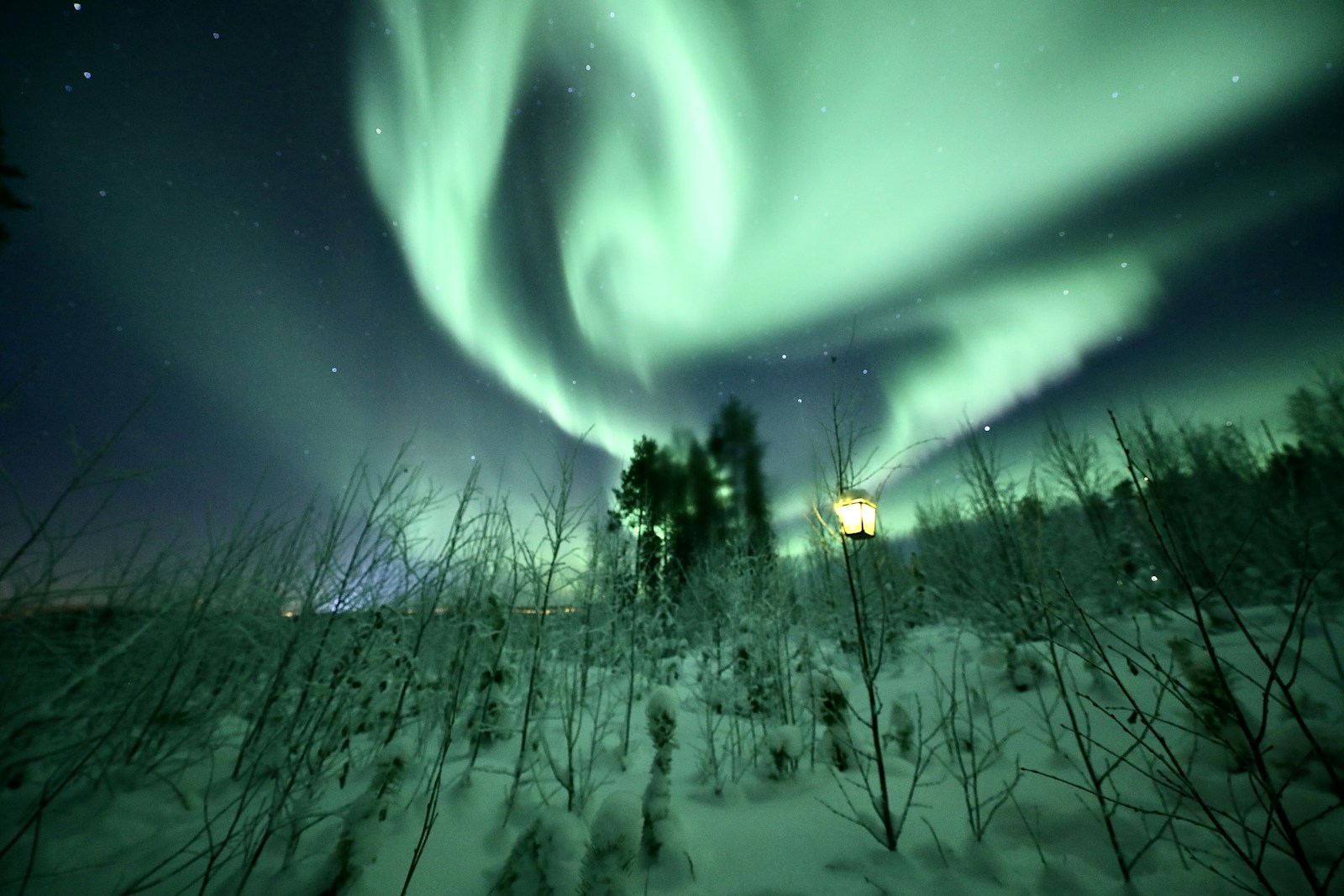 Green Northern Lights sweeping over a forest at night with a warm lantern glowing among the trees