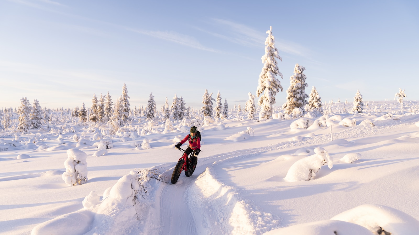 Snow-covered winter trails through snow-laden trees in Finnish Lapland