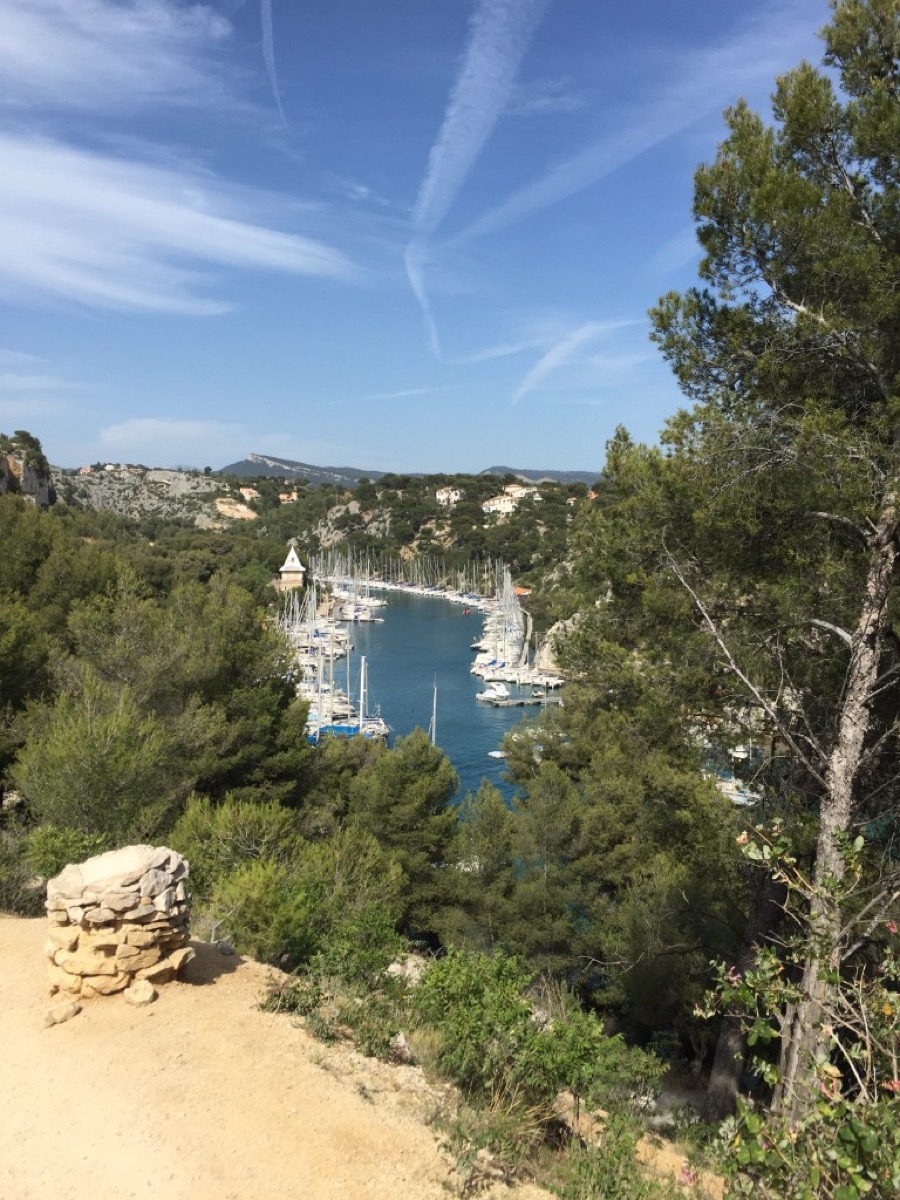 A pine-framed view over a calm Calanques inlet with sailboats moored in turquoise water