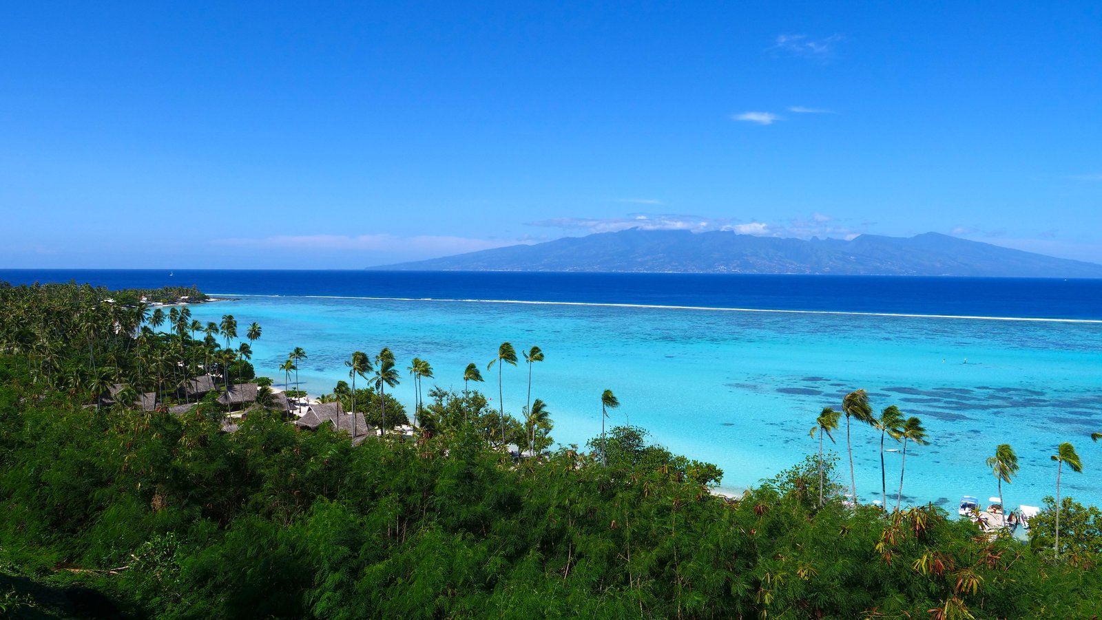 Agua turquesa de la laguna y orilla arenosa en Temae, Moorea