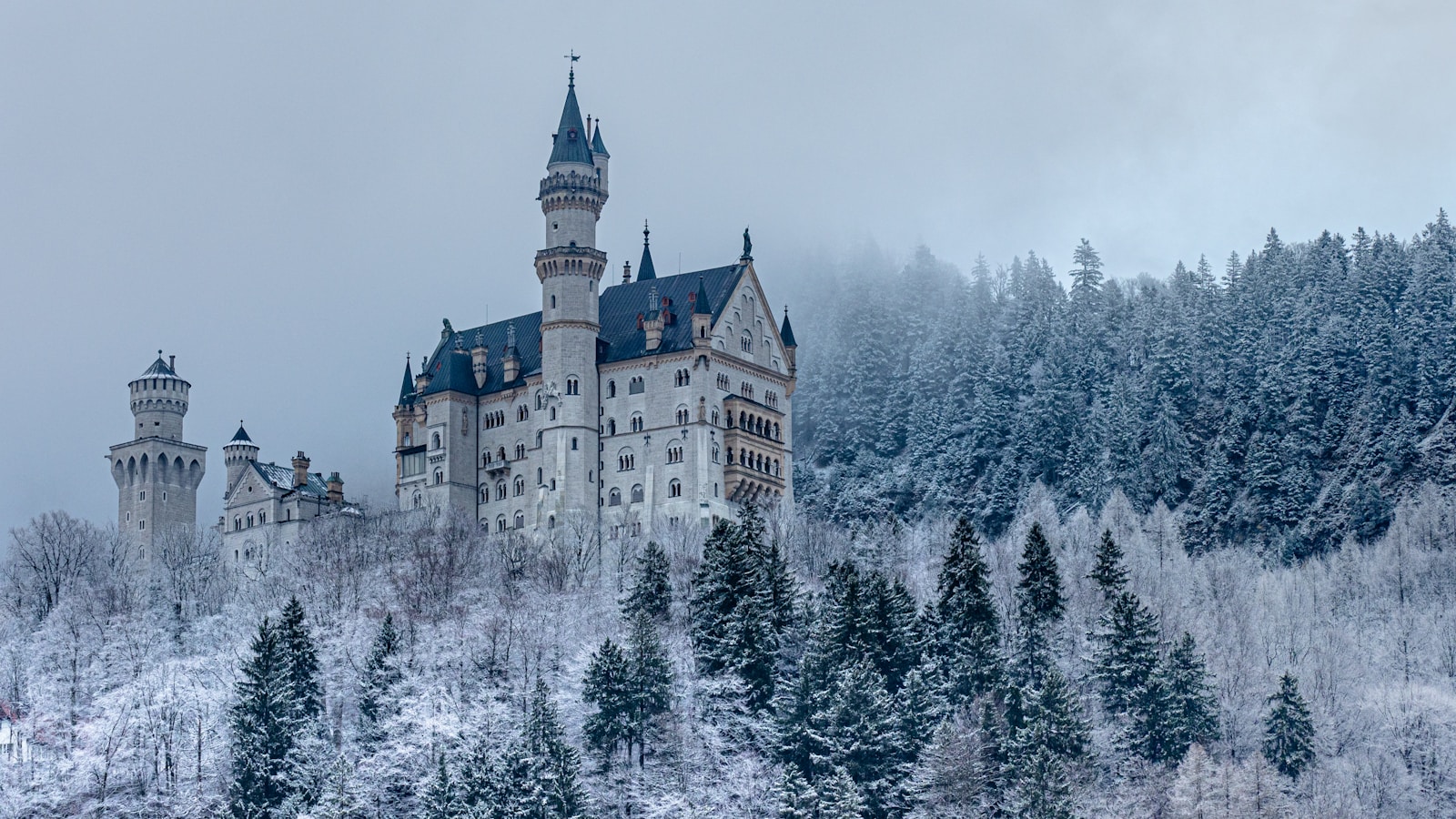 Neuschwanstein Castle on a hillside in Bavaria