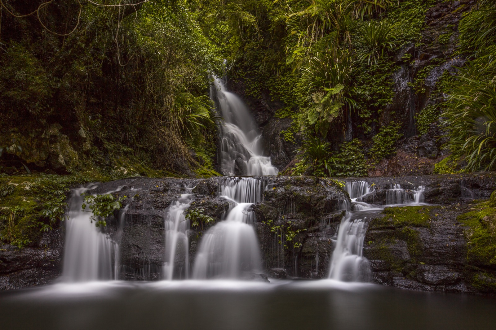 Streams flowing over rocky ledges into a pool in Lamington National Park