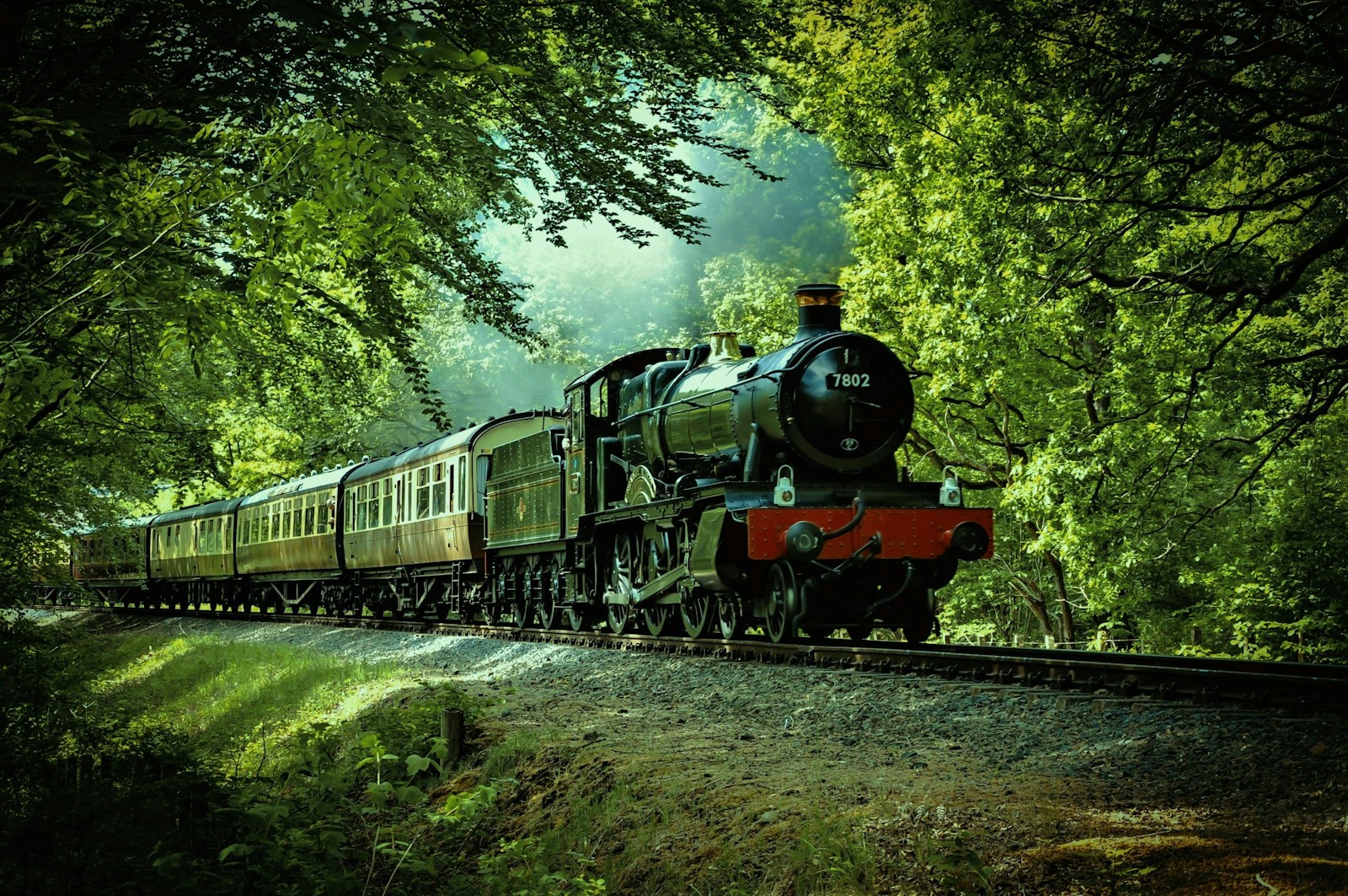 Black and red steam train passing through a forest, capturing Hogwarts Express atmosphere