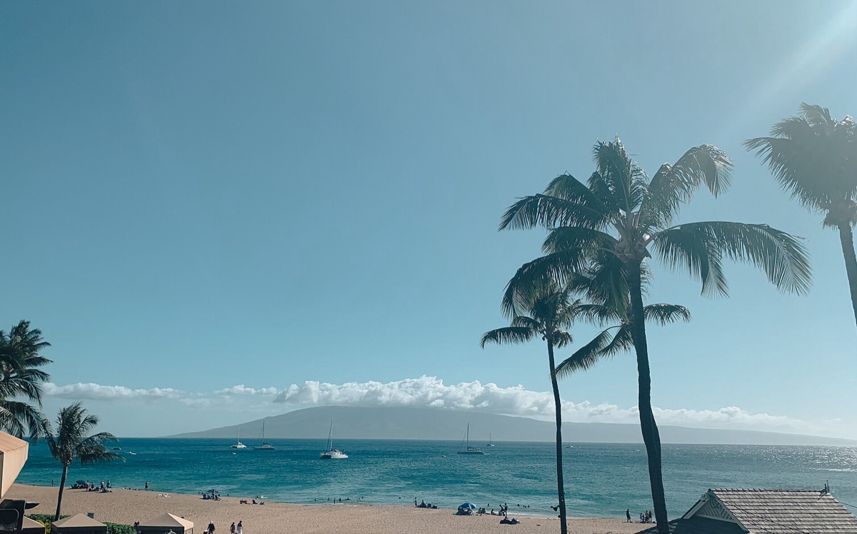 Rocky Maui coastline with palm trees, dark volcanic rock and mountains in the distance