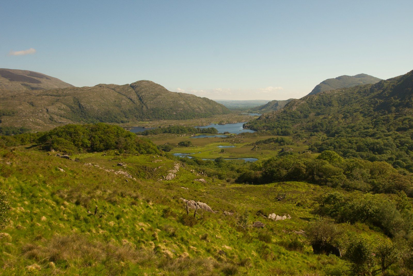 Green fields, water and mountains in Killarney National Park