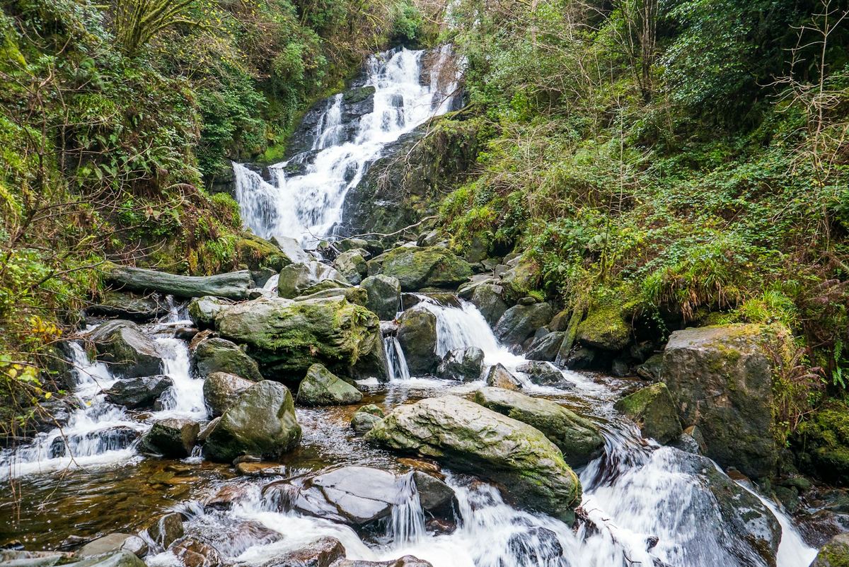 A waterfall flowing through forest in County Kerry