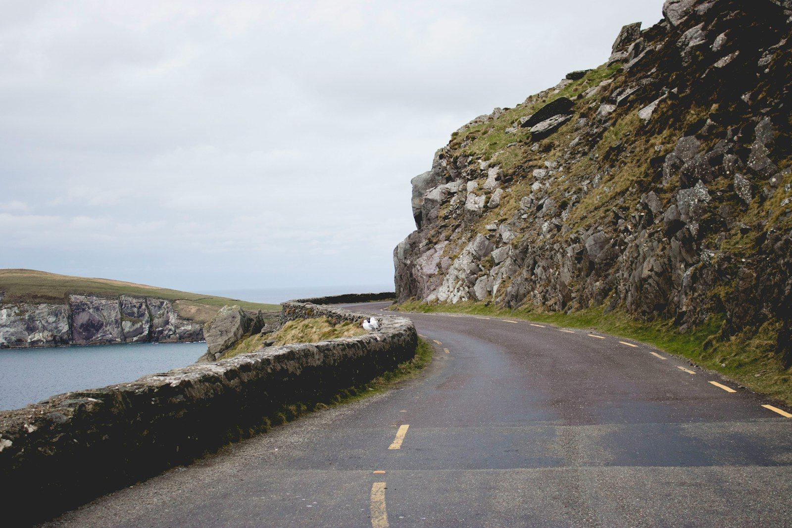 A narrow coastal road on the Dingle Peninsula with green hills beyond