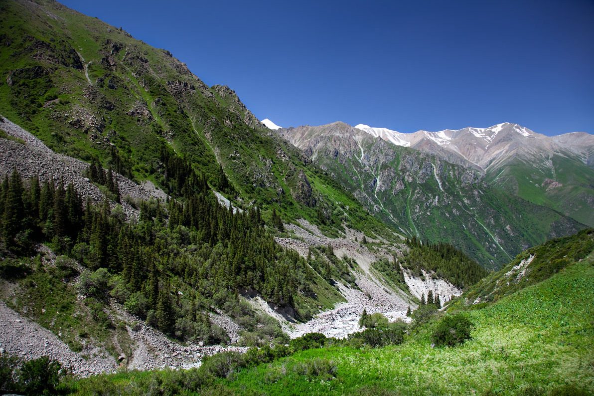 Fluss und bewaldete Hänge im Nationalpark Ala-Archa bei Bischkek, Kirgisistan