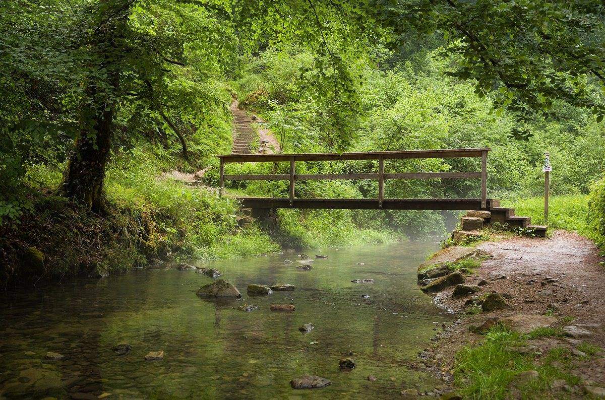 Müllerthal Trail showing a forested hiking path crossing a small stream by a wooden footbridge