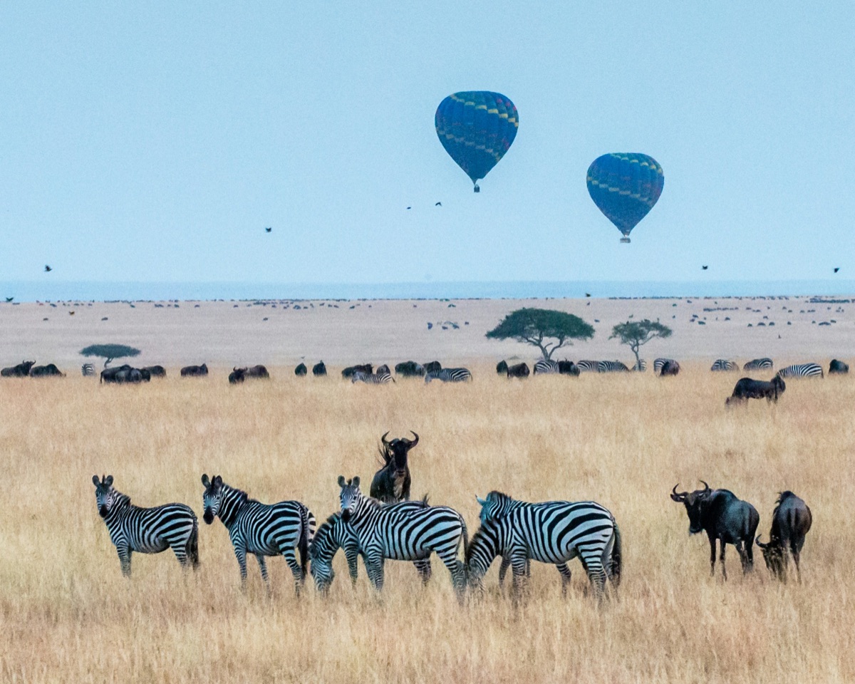 Two hot air balloons floating over the Maasai Mara savannah at sunrise