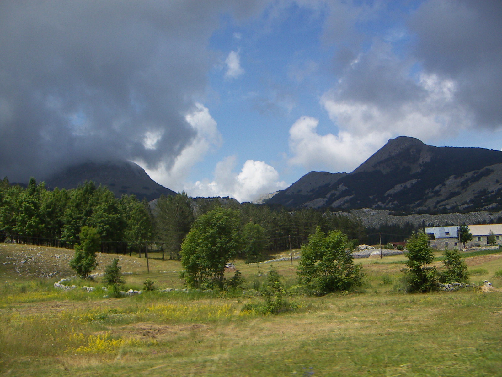 Lovćen National Park, showing rugged limestone mountains, forested slopes and open meadows