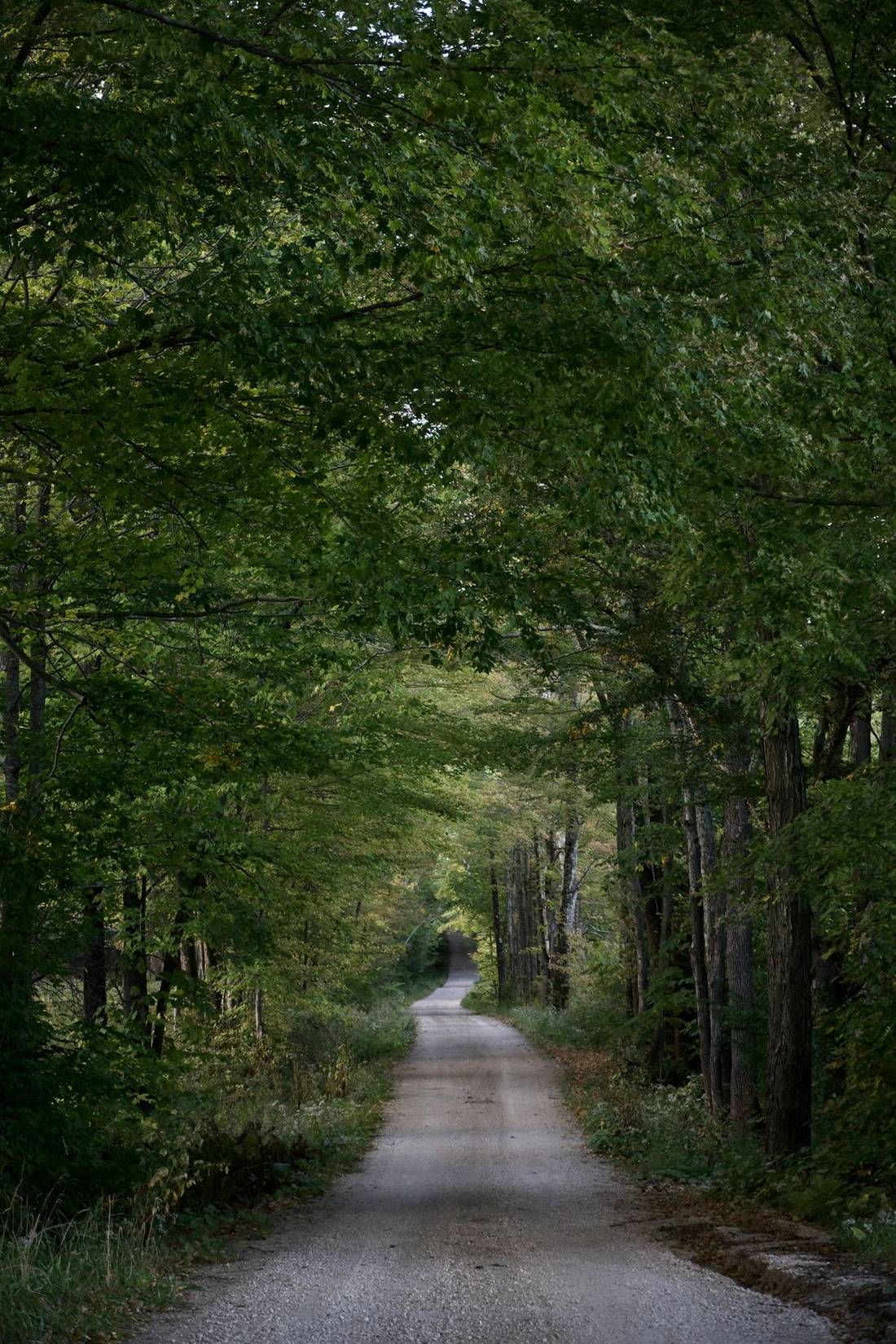 A quiet dirt road in Woodstock, Vermont, lined with trees