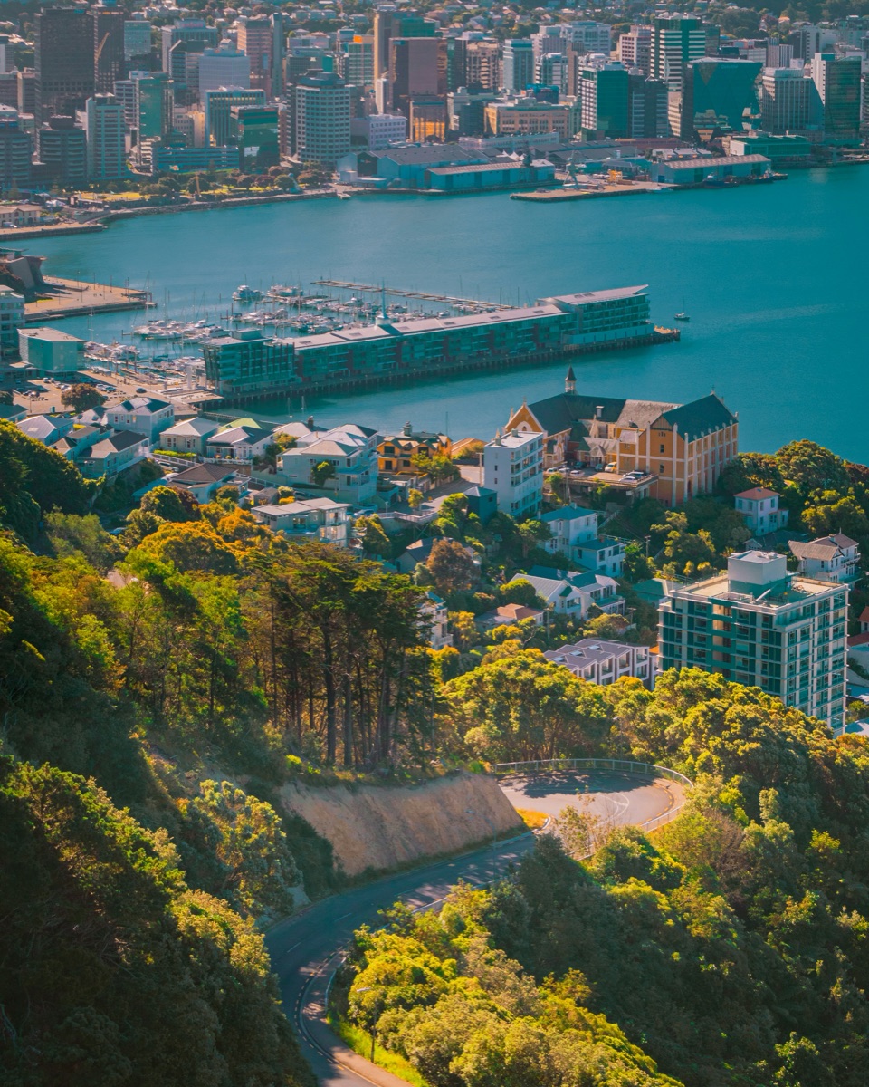 Panoramic view of Wellington harbor and city skyline