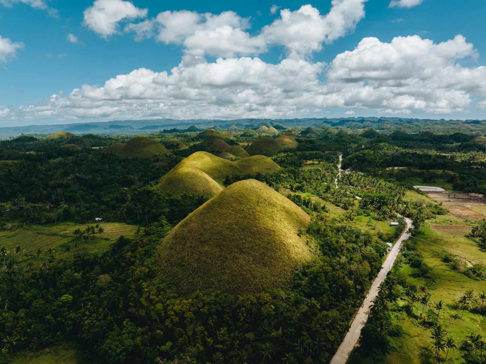 Aerial view of Bohol's Chocolate Hills cone-shaped landscape under a blue sky