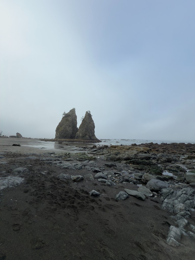 Sea stacks and rocky shoreline at Rialto Beach under fog in Olympic National Park