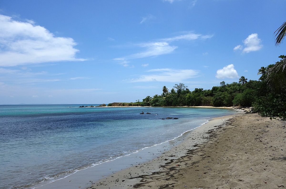 Blick auf einen Vieques-Strand und die Küste in Puerto Rico mit klarem Wasser und Küstenvegetation