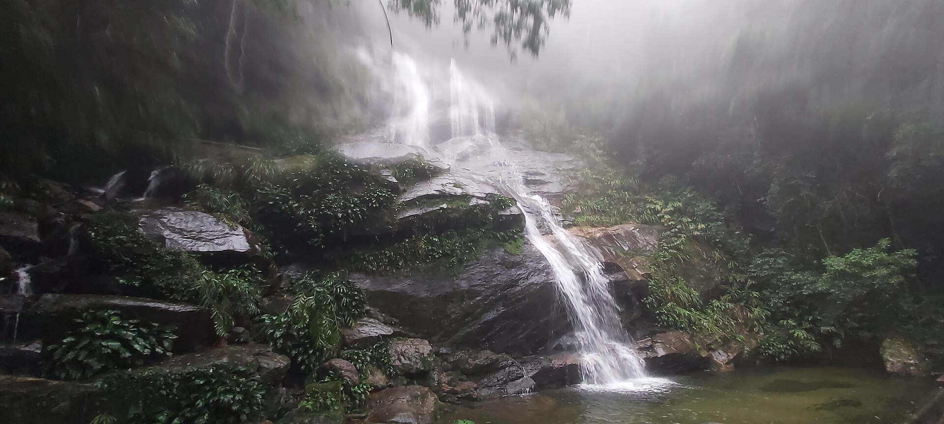 Lush Atlantic rainforest scenery in Tijuca National Park, Rio de Janeiro