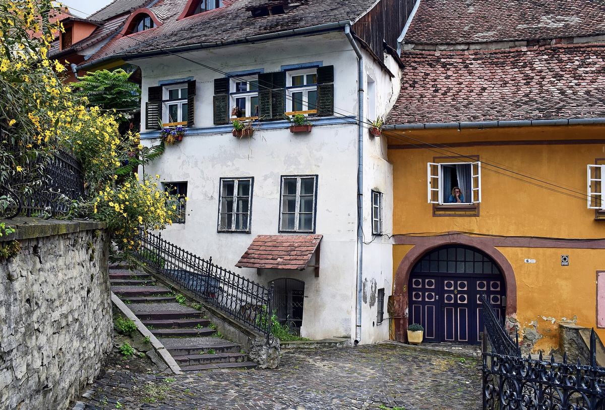 Traditional houses with steep tiled roofs above a cobbled lane and stone stairway in Sighișoara