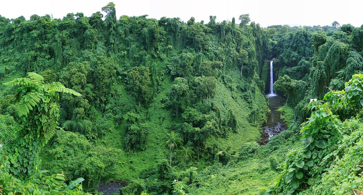 Sopo‘aga Falls dropping into a deep valley of dense tropical rainforest on Upolu