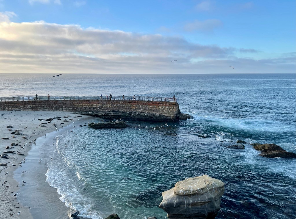 Children’s Pool sea wall and seals on the sand at La Jolla, San Diego