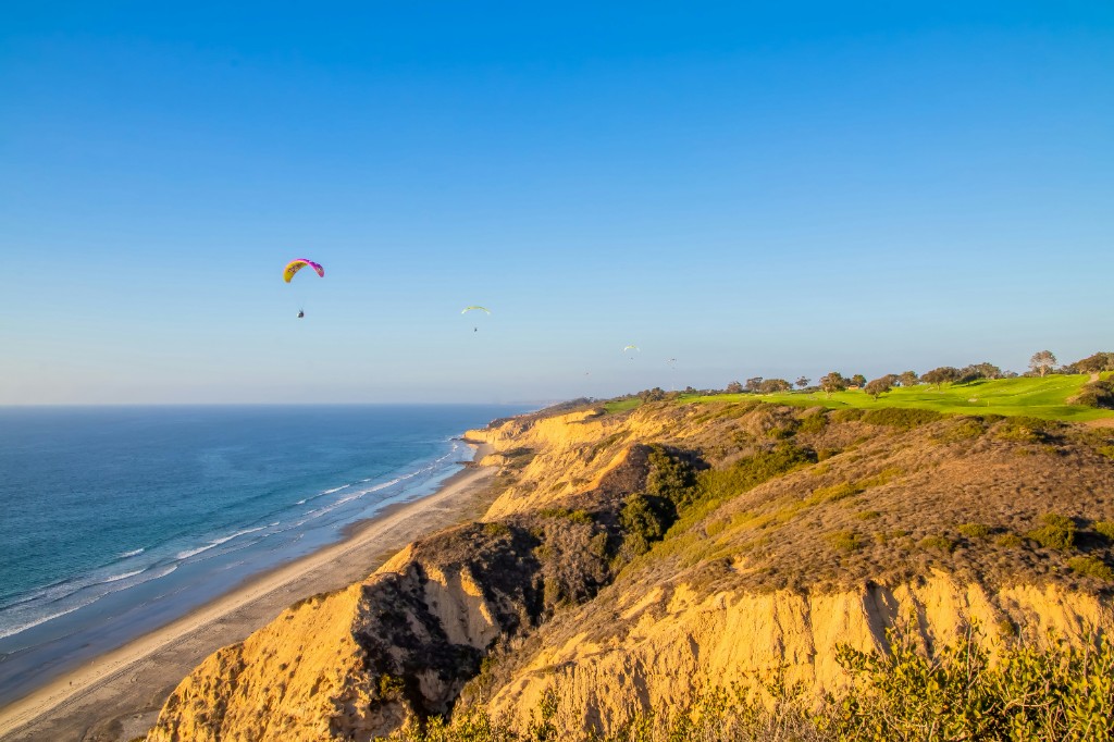 Paragliders above Torrey Pines cliffs and a long sandy shoreline on the Pacific