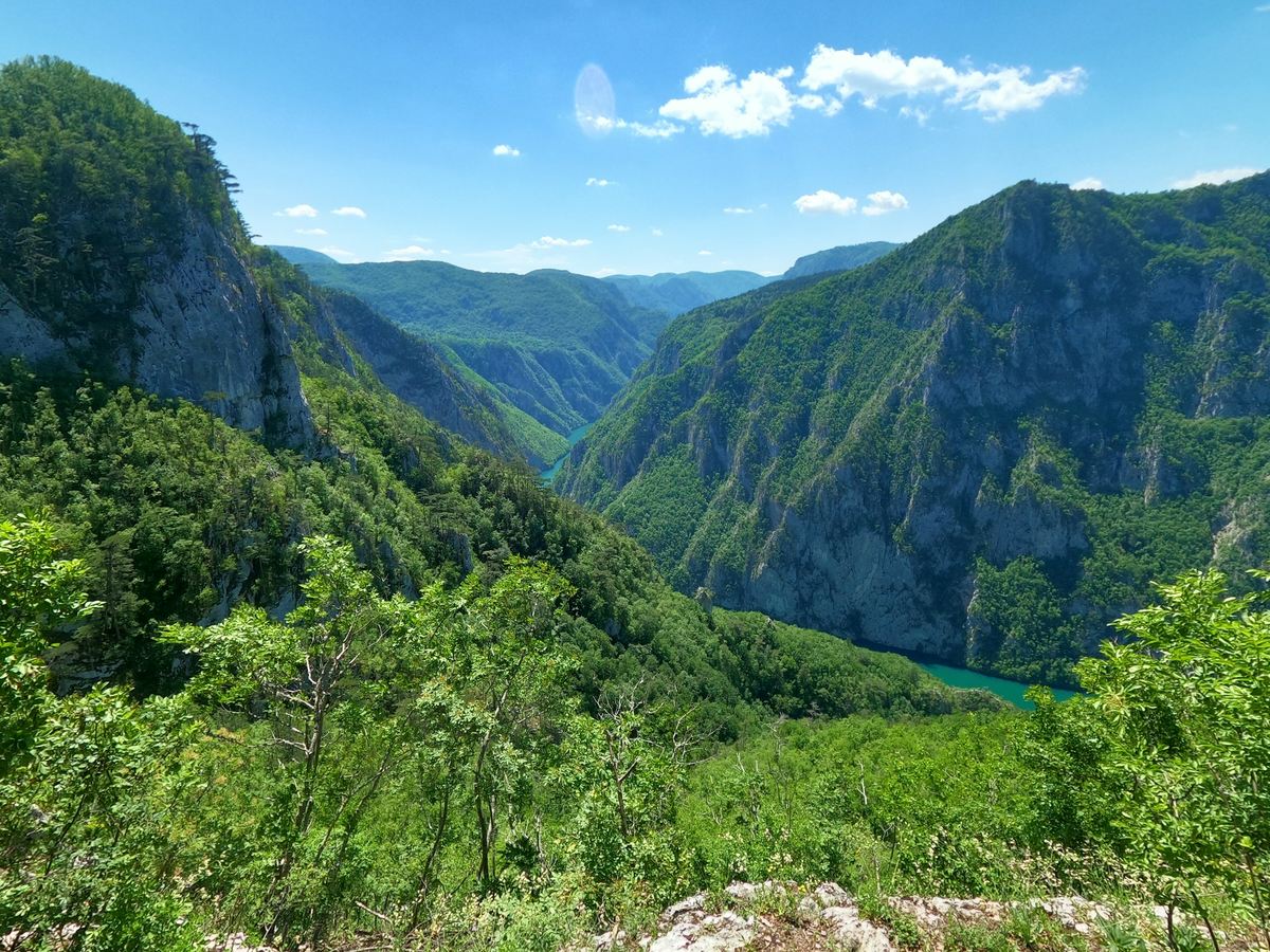 Forested mountains of Tara National Park in western Serbia under a blue sky