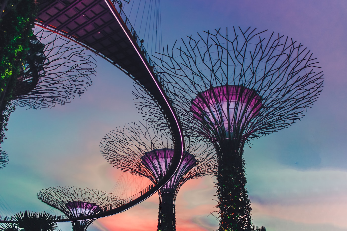 Supertree Grove at Gardens by the Bay in Singapore