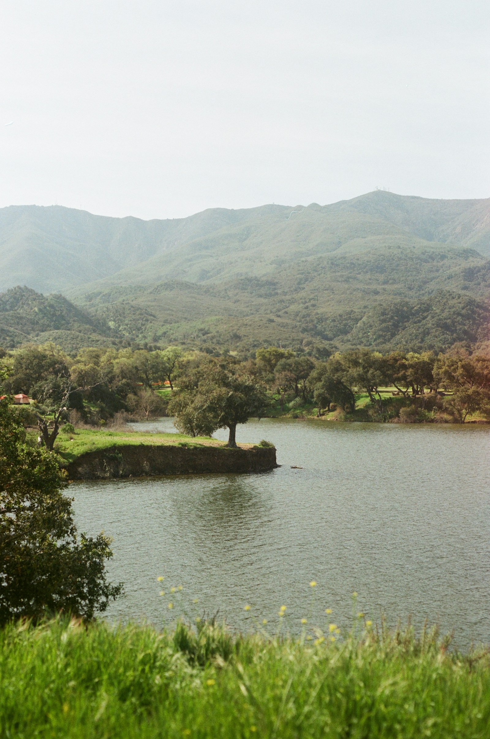 Rolling green hills and water in the Santa Ynez Valley