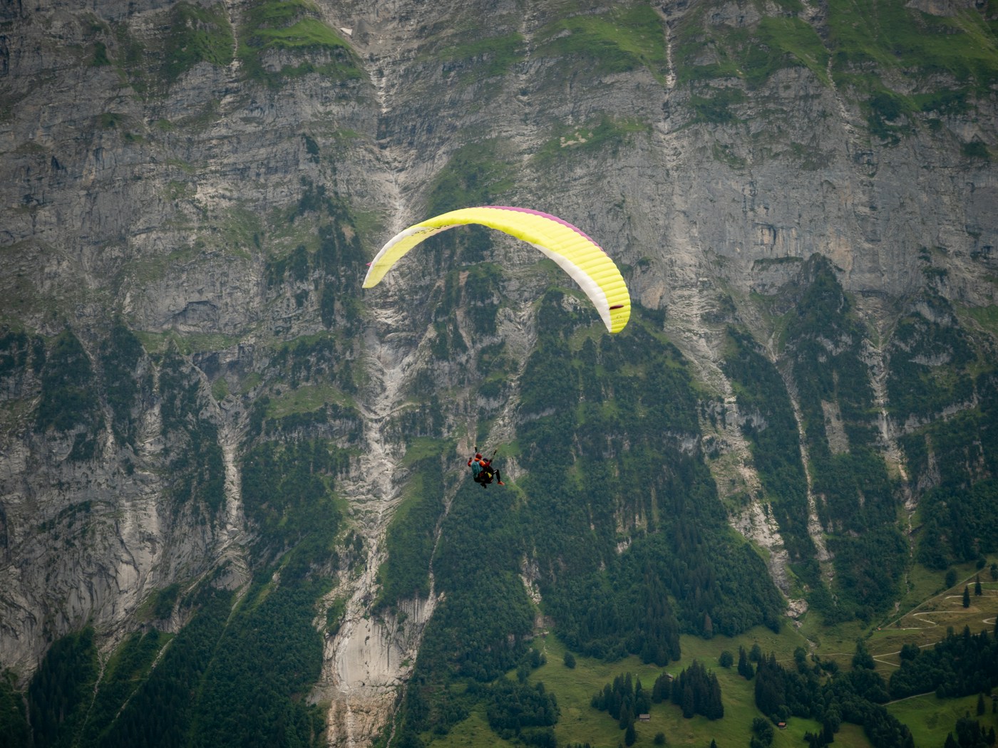 Tandem paraglider flying over mountain peaks and green valleys near Grindelwald, Switzerland