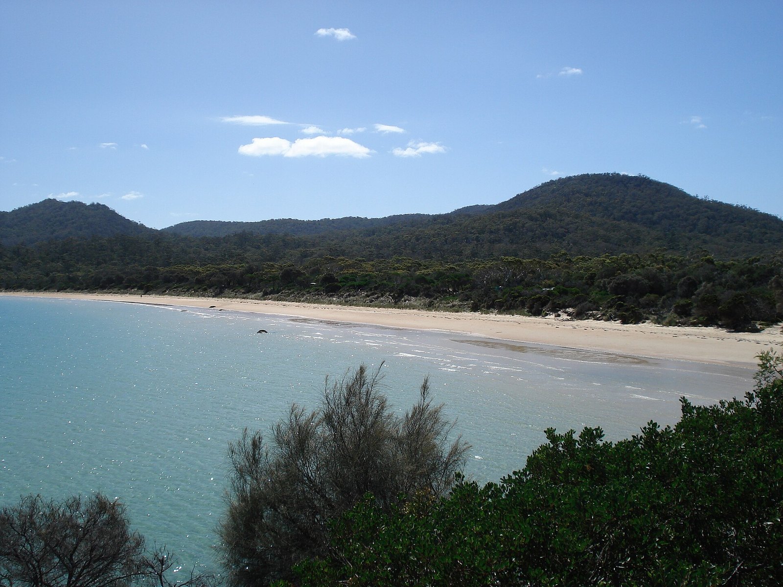 Coles Bay beach in Tasmania with a broad sandy shoreline and forested hills in the background