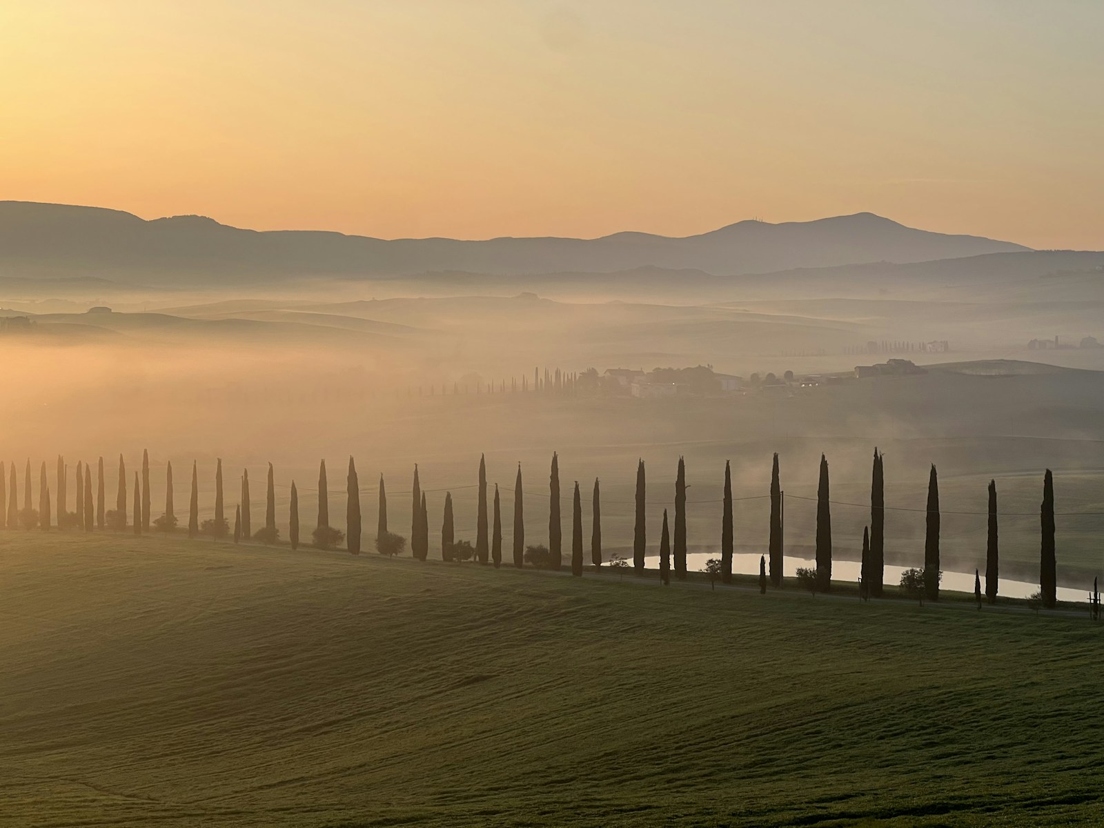Row of cypress trees across misty Val d'Orcia hills at golden hour with a reflecting pond