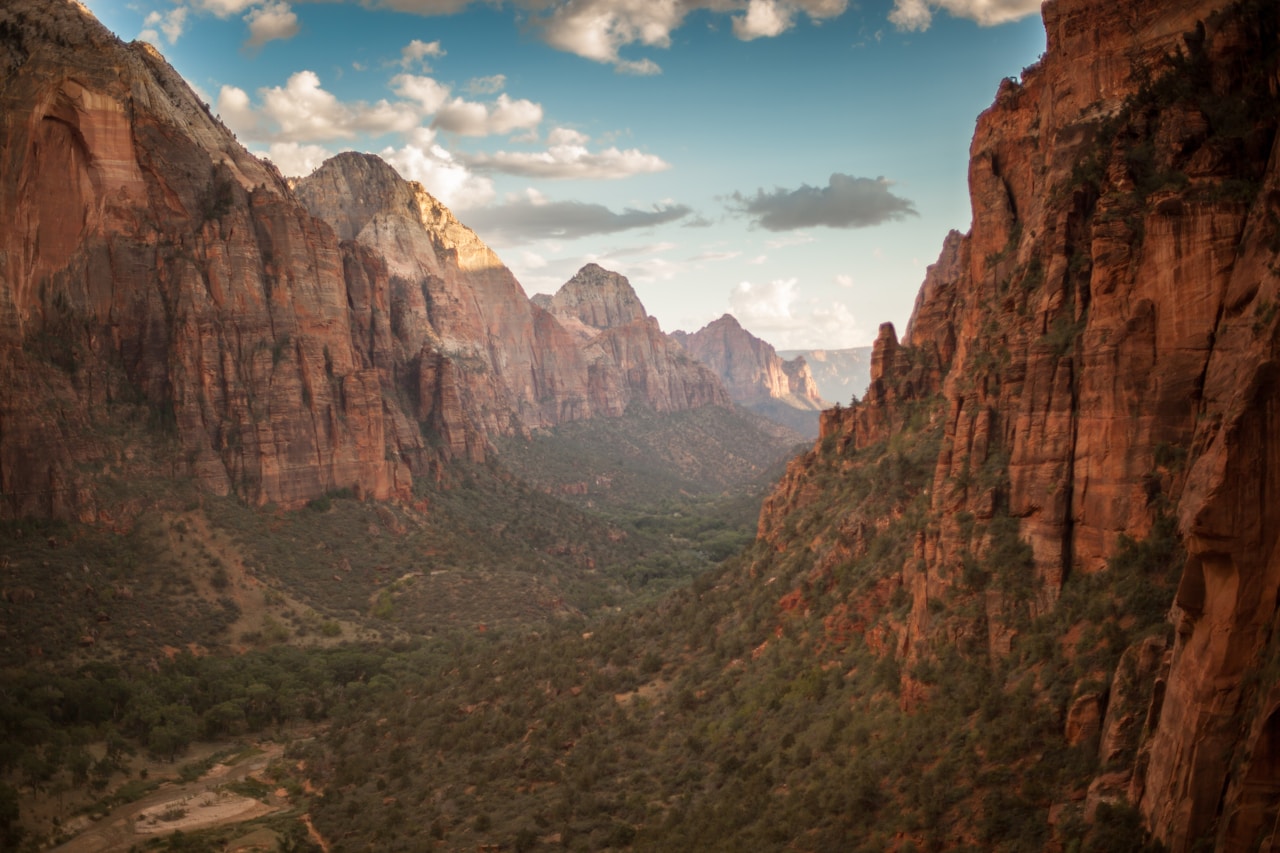 Towering sandstone cliffs and forested valley floor in Zion Canyon, Zion National Park, Utah