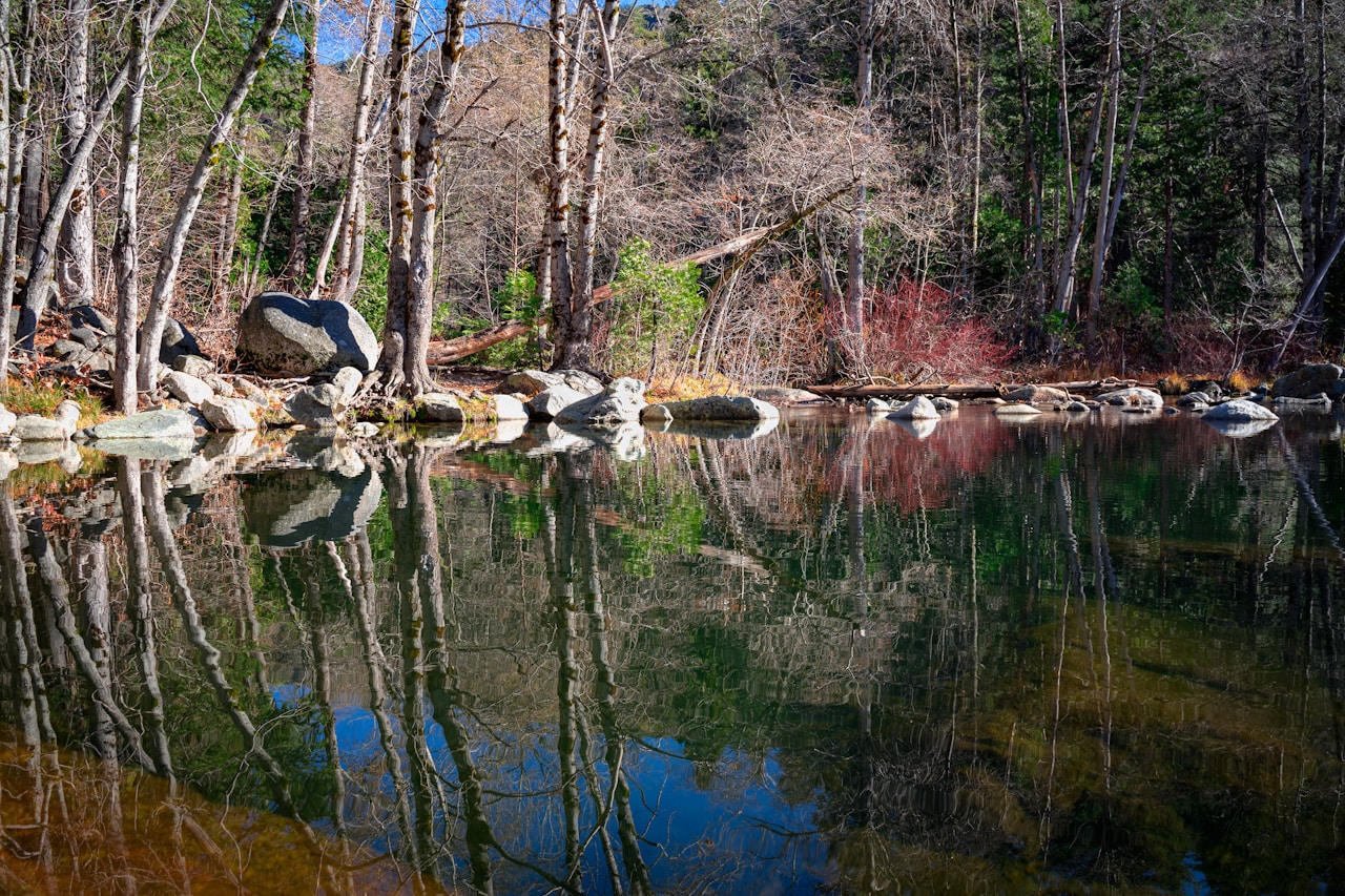 A tranquil pool surrounded by trees and rocks on the Emerald Pools Trail in Zion National Park