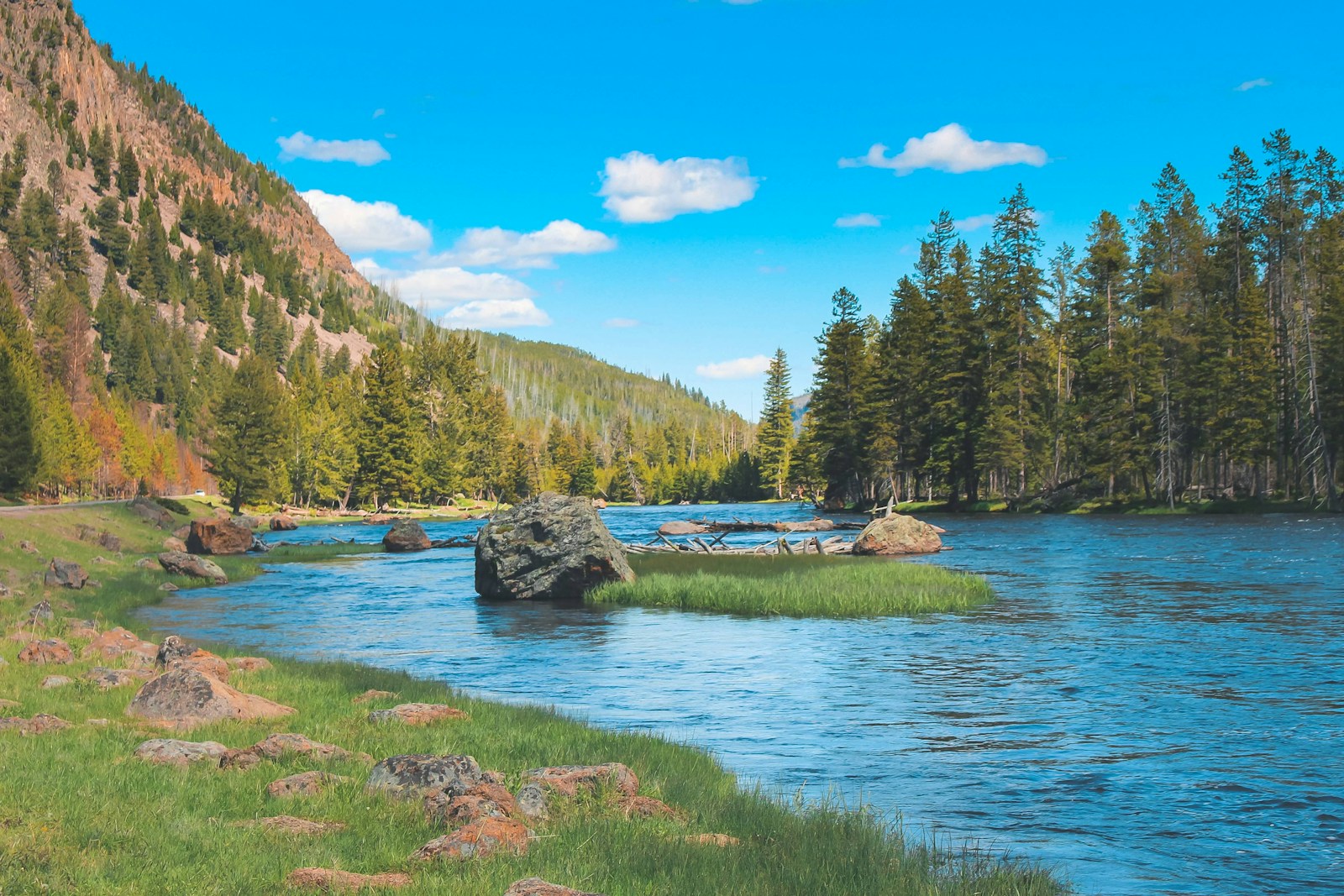 Tranquil river flowing through Yellowstone National Park with forests and mountains