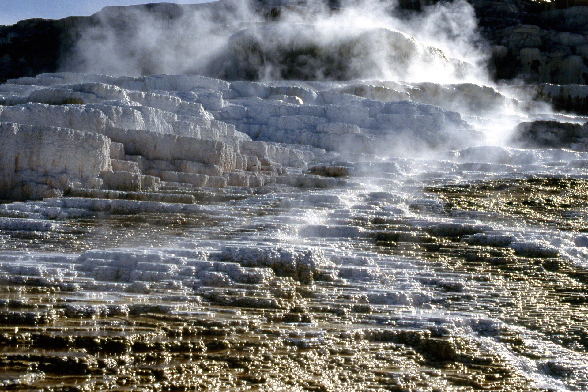 Travertine terraces at Mammoth Hot Springs in Yellowstone National Park